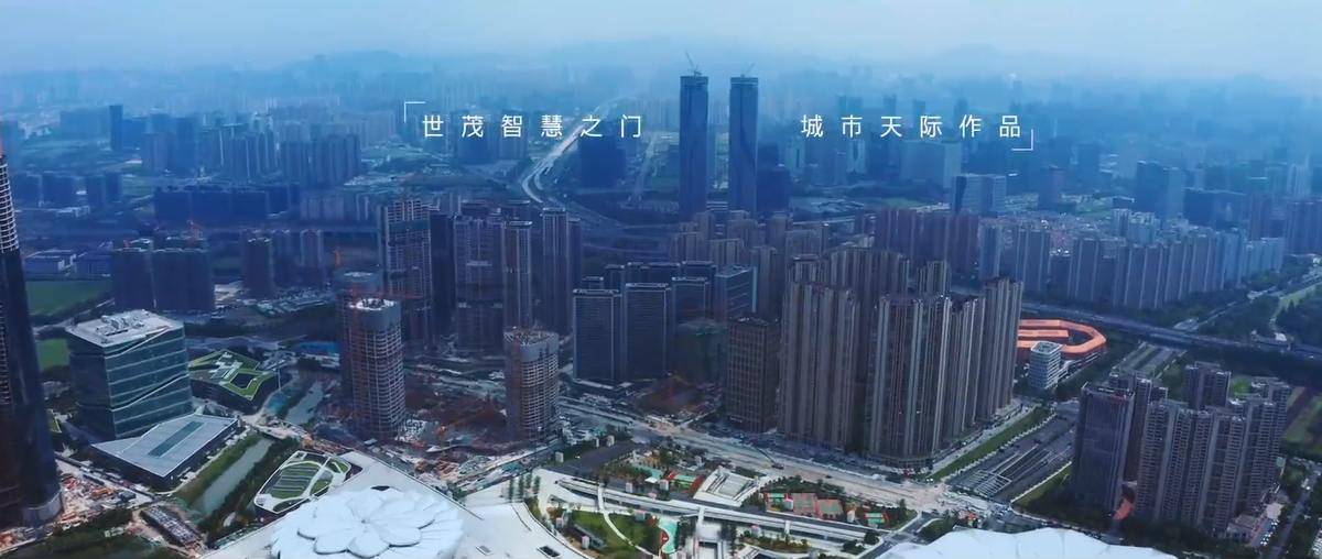 国际滨江商务封面，约272米城市天际作品-世茂智慧之门