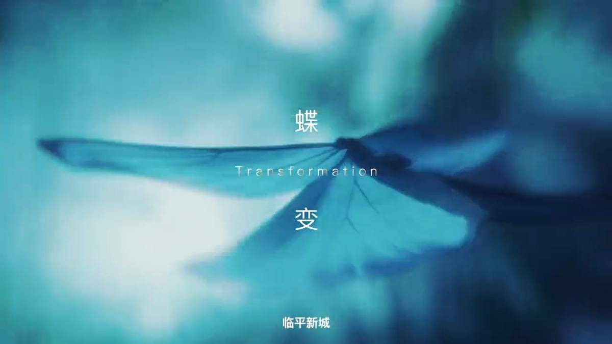 一次蝶变，焕新城市丰盈新象-滨江蝶翠迎宾府