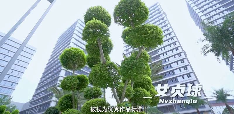 惊艳杭州房圈的清来嘉座实景-滨江清来嘉座