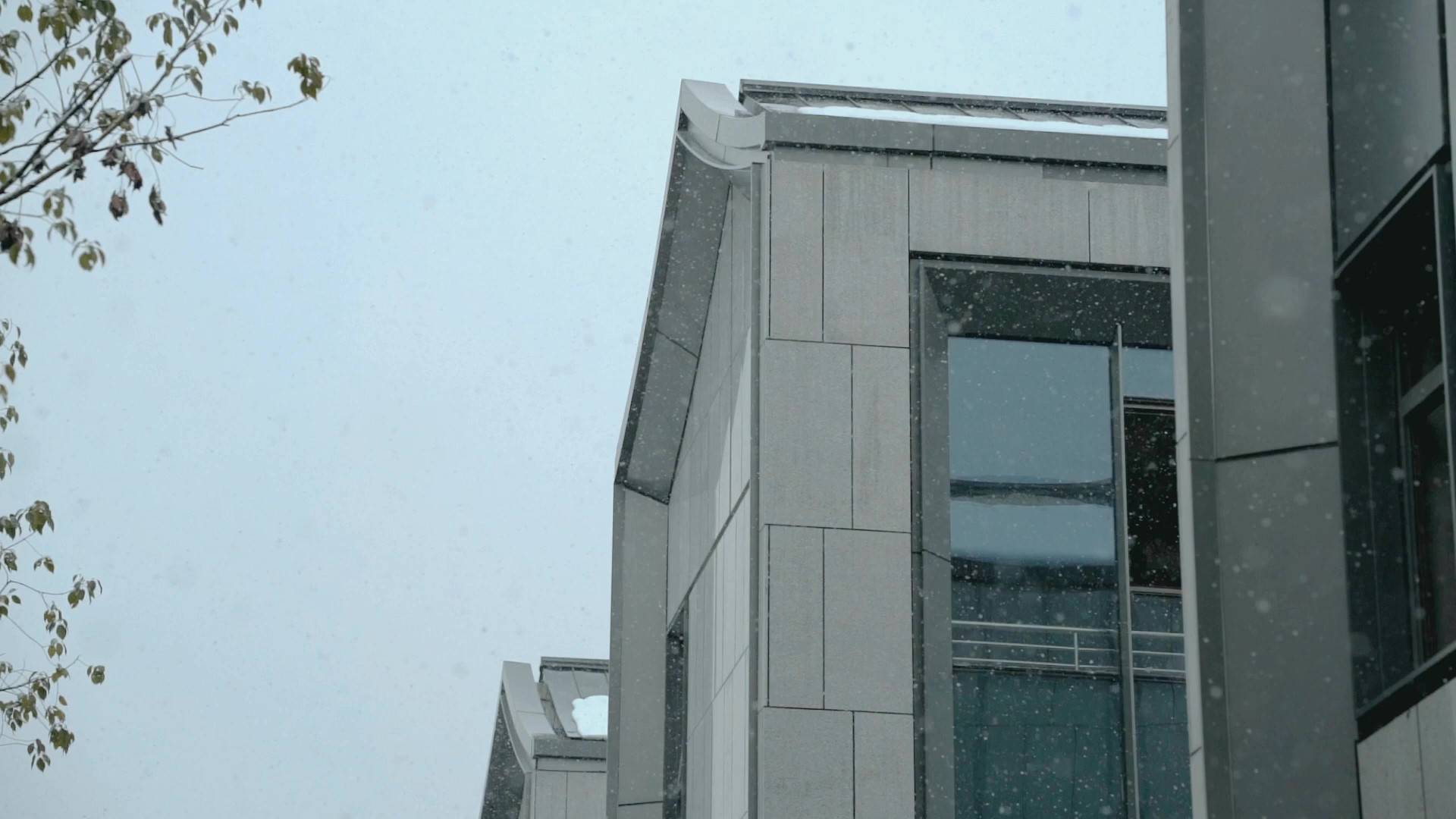 大雪日，窗前闲话藏美好 334㎡「见山」-南郡涵芸轩