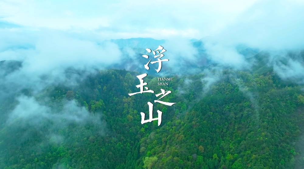 旅迹天目  谱新篇 天目山居  如院开-滨江天目山晓城