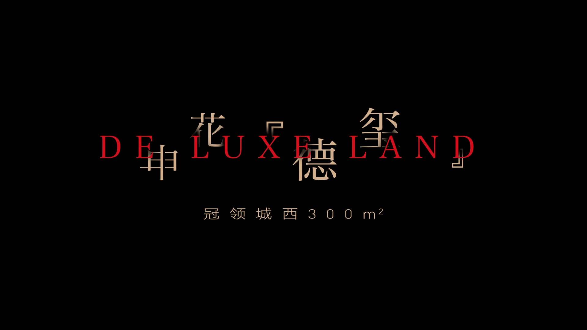 申花300方的房子长啥样？-中家德玺尚座