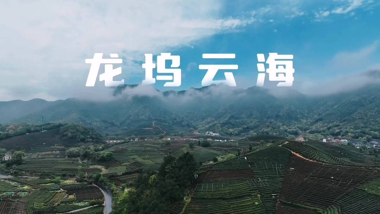 滨江造西湖西叠墅放得下世界，安得下内心-滨江越秀坤和·溪映听庐